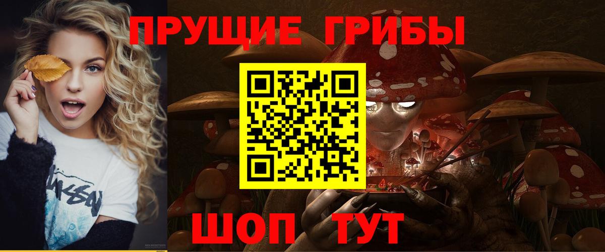 Тула  Галлюциногенные грибы мицелий  Псилоцибиновые грибы мицелий  Вход с VPN 