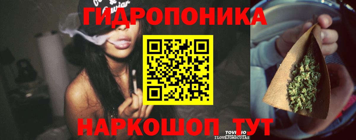 Марихуана Bruce Banner  Конопля семена  Вход с VPN  Марихуана тримм  Тула  Шишки марихуана MAZAR 
